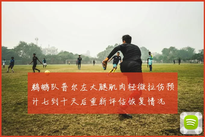 鹈鹕队普尔左大腿肌肉轻微拉伤预计七到十天后重新评估恢复情况