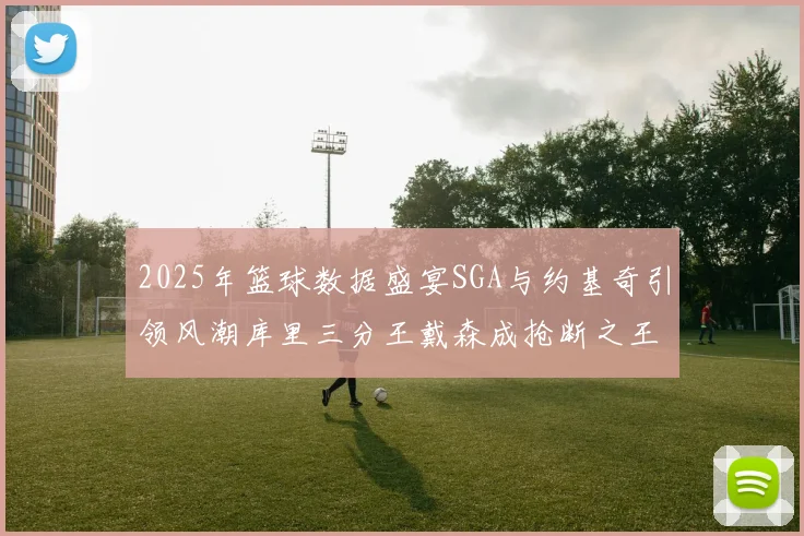 2025年篮球数据盛宴SGA与约基奇引领风潮库里三分王戴森成抢断之王