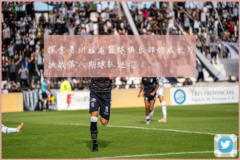 探索贵州猛龙篮球俱乐部的成长与挑战第八期球队巡礼